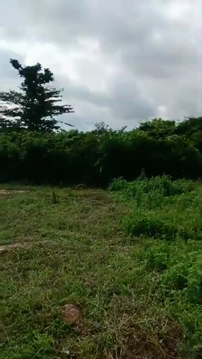 Terrain de 624 m² à vendre à N'Dakro (ACD disponible)