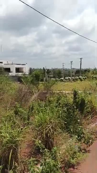 Terrain de 4250 m² à vendre à Yamoussoukro (ACD disponible)