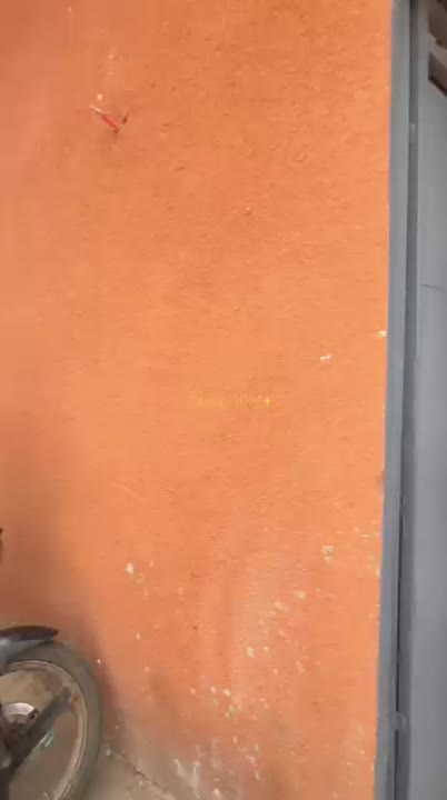 Studio à louer à Socopao