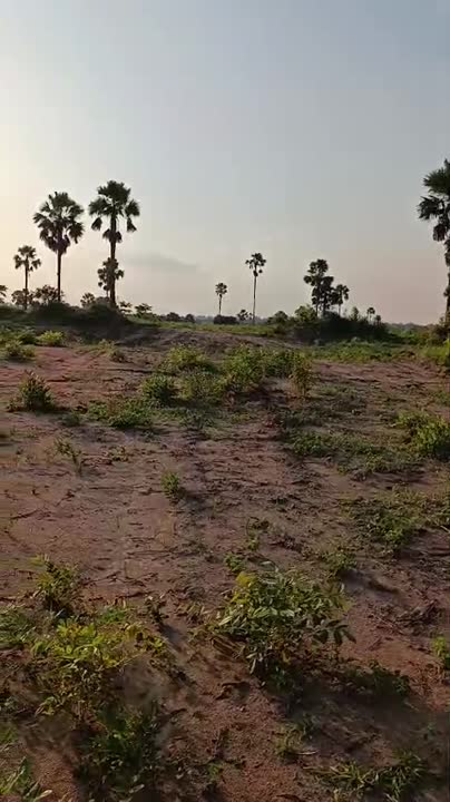 Terrain de 450 m² à vendre à Yamoussoukro (ACD global)