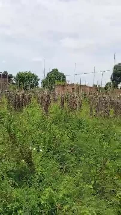 Terrain de 2000 m² à vendre à Kennedy (ACD en cours)