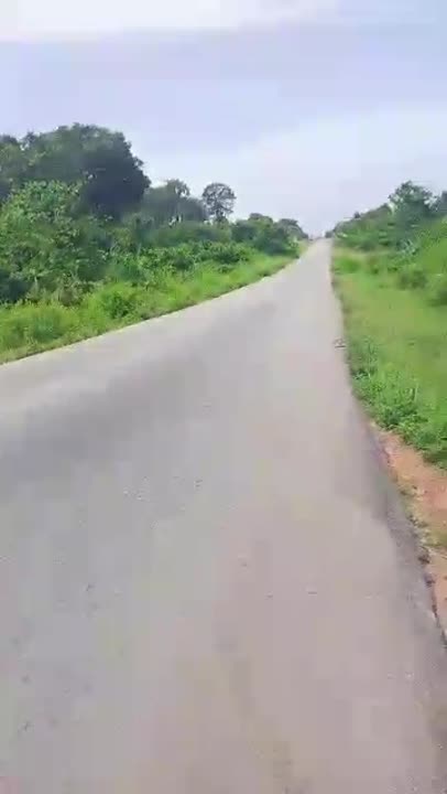 Terrain de 1000 m² à vendre à Morofé Katakoubo