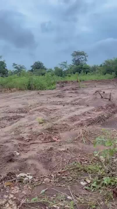 Terrain de 600 m² à vendre à N'Dakro (ACD possible)