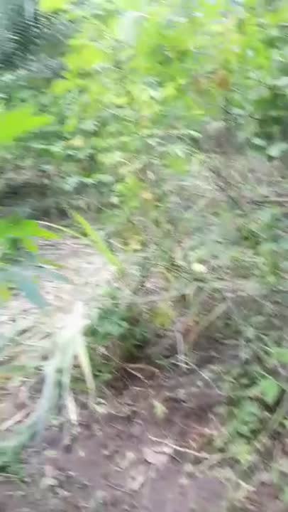 Terrain de 500 m² à vendre au Corridor Sud (Titre foncier)