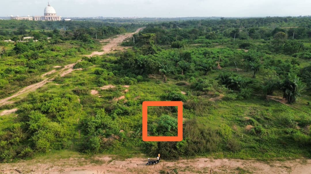 Terrain de 487 m² à vendre à N'zuessy (ACD disponible)