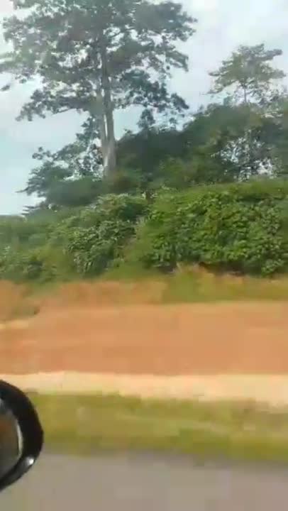 Terrain de 56 ha à vendre à Lolobo (Titre Foncier)