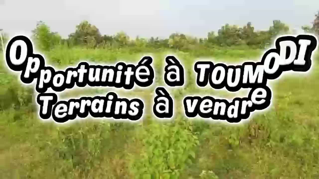 Terrain à vendre à Toumodi — 500 m² et plus