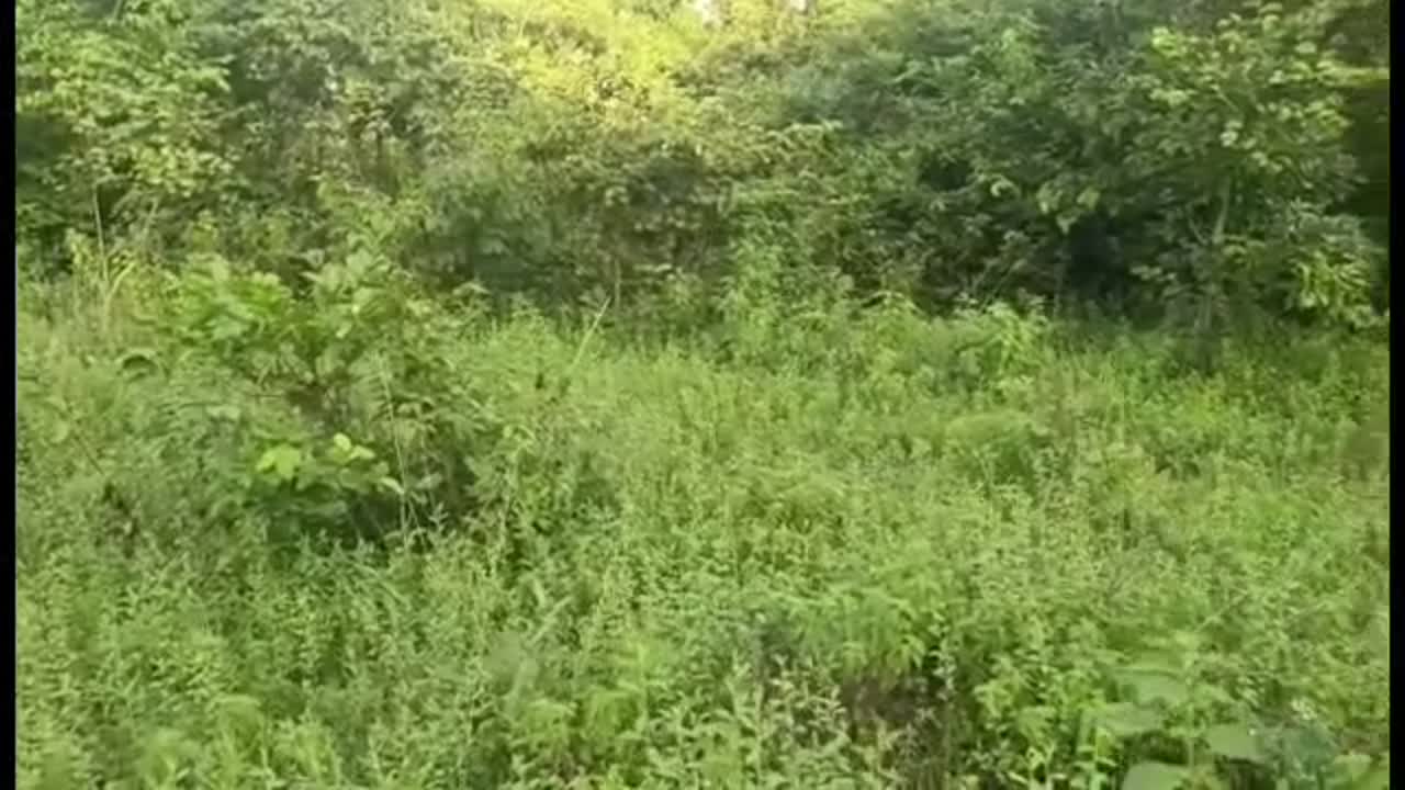 Terrain de 600 m² à vendre à Gogo Afflafou