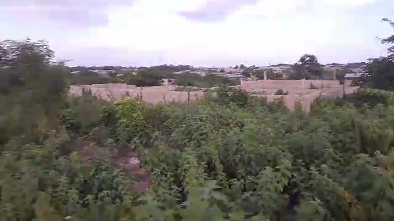 Terrain de 600 m² à vendre à Bouaké Site CIDT (documents disponibles)