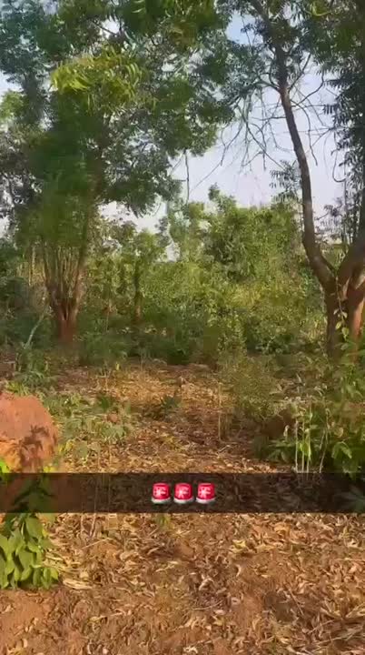 Terrain de 1000 m² à vendre à Nanan (ACD disponible)