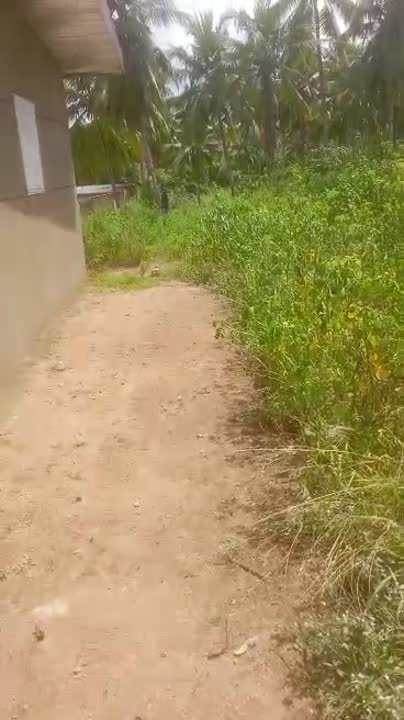 Terrain de 600 m² à vendre à N'Zuéssou (ACD disponible)