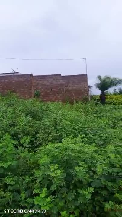 Terrain de 600 m² à vendre à N'Dakro (ACD en cours)
