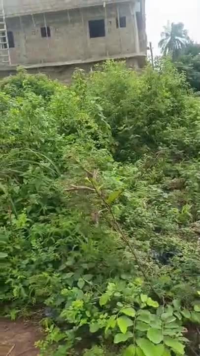 Terrain de 600 m² à vendre à Tchelekro (lotissement Kouadiokouamékro)