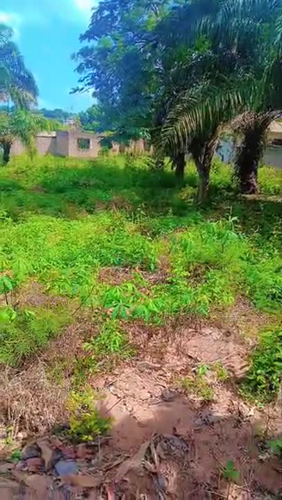 Terrain clôturé de 1500 m² à vendre au Municipal (ACD disponible)