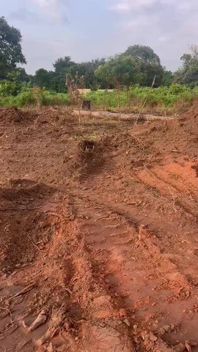 Terrain de 6000 m² à vendre à Sessenouan (Cité Abodobonou)