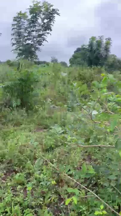 Terrain de 600 m² à vendre à la Cité CIDT (site approuvé et viabilisé)
