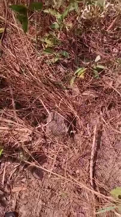 Terrain de 500 m² à vendre à Okaville (ACD disponible)