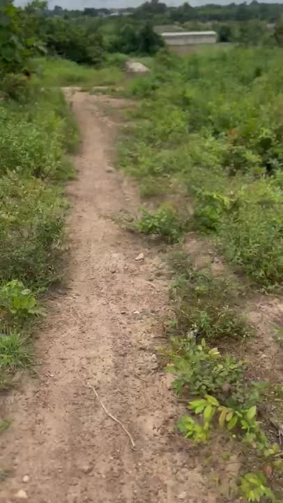 Terrain de 901 m² à vendre à N'Dronkro (ACD disponible)
