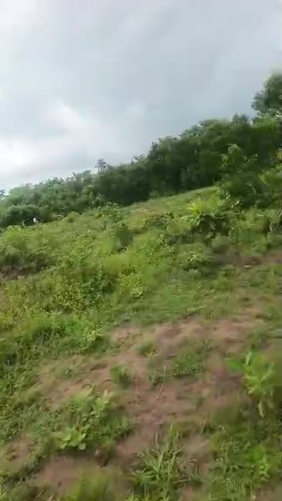 Terrain de 500 m² à vendre à Corridor Sud (Kongodékro)