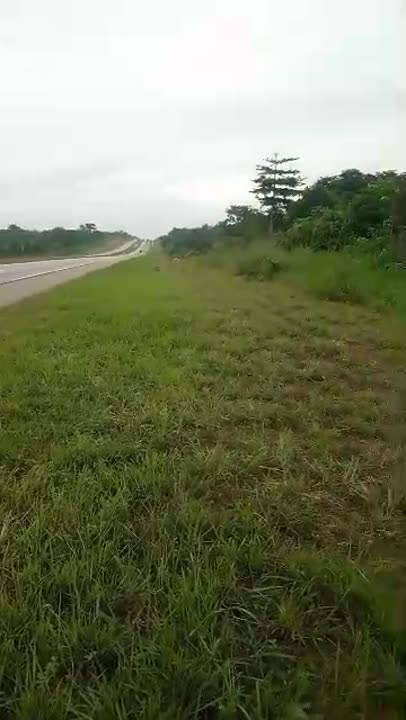 Terrain de 57 hectares à vendre entre Djebonoua et Tié Bissou