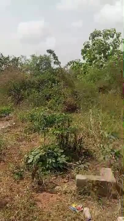 Terrain de 600 m² à vendre à Cité des Impôts (ACD disponible)