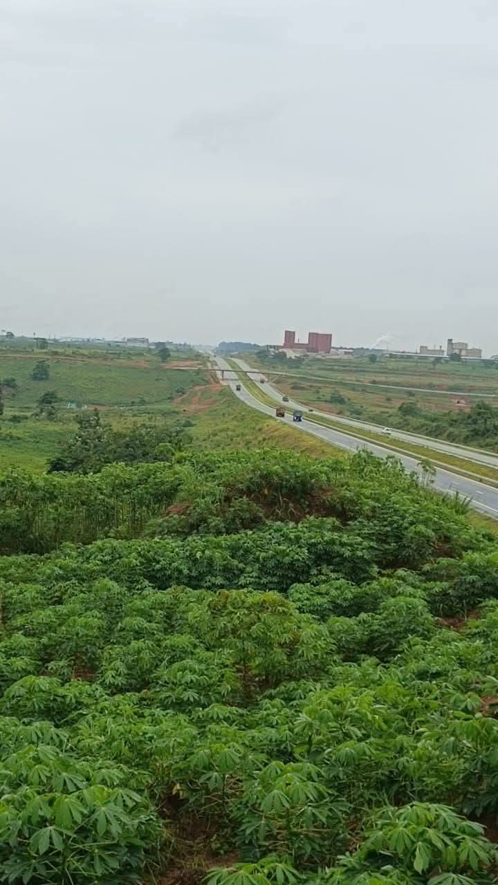 Parcelle de 12 ha à vendre à Djebonoua (Nianganban)