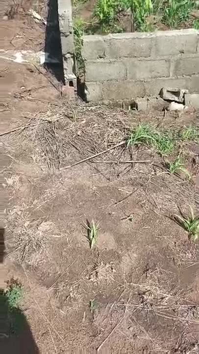 Terrain de 500 m² à vendre à Bouaké (CF disponible)
