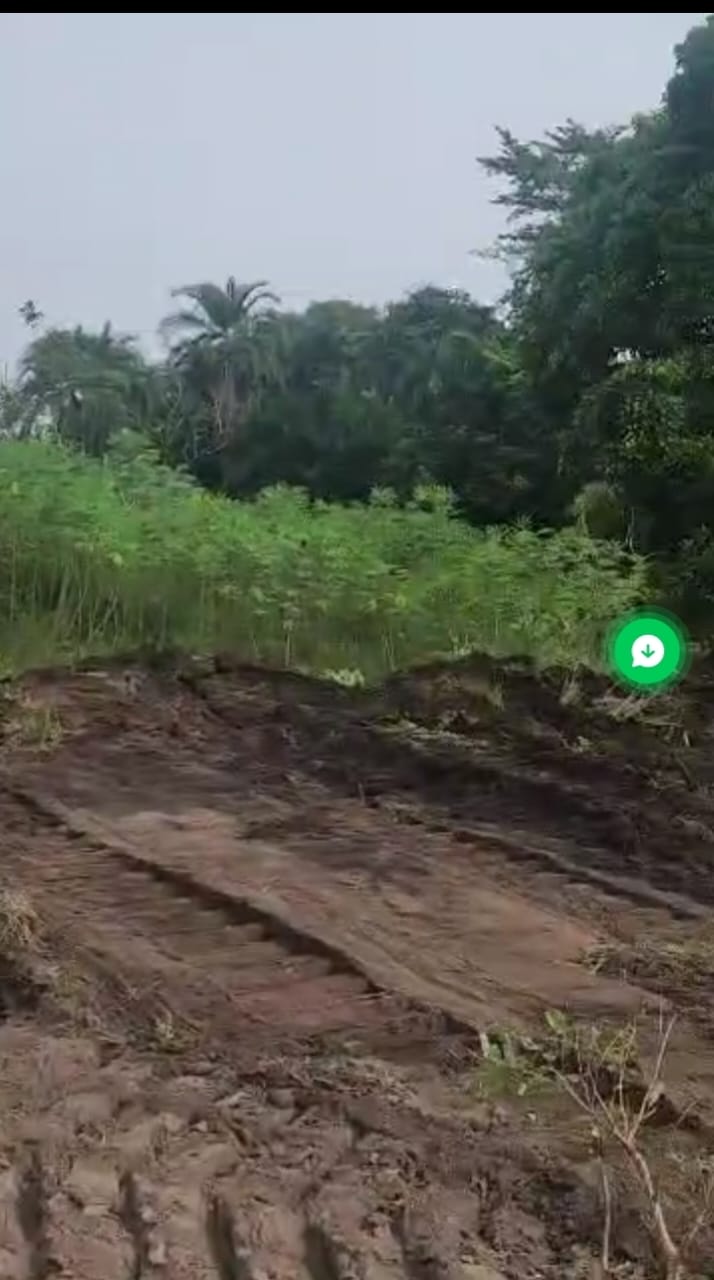 Préfinancement de 10 lots à Logbakro (Yamoussoukro)