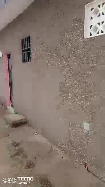 Studio à vendre à Tchelekro