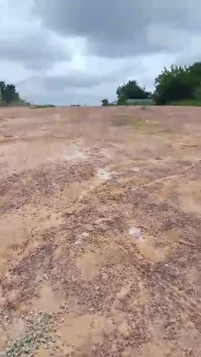 Terrain de 1039 m² à vendre à Tricassou Basilique (ACD disponible)