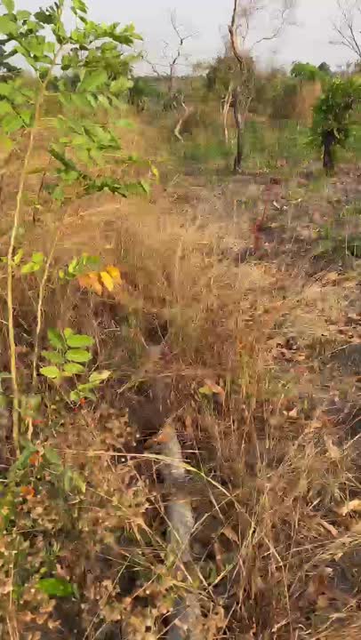 Terrain de 500 m² à vendre à Kao (ACD disponible)