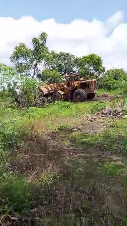 Terrain à vendre à Assoumvouè (Toumodi) — proche autoroute