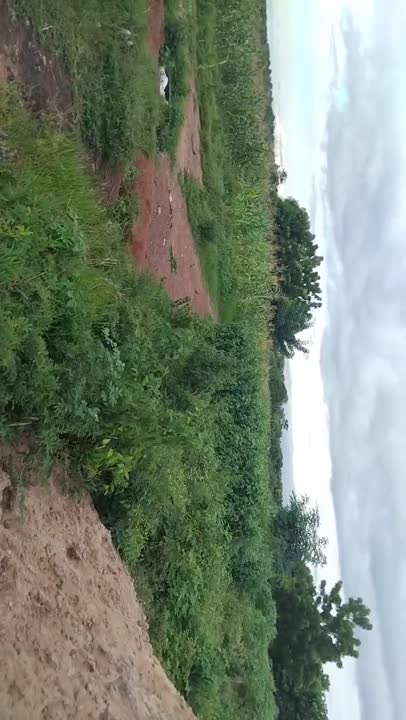 Terrain de 10 hectares à vendre à Minankro (bordure)
