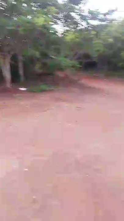 Terrain de 42 hectares à vendre à Moayekro (titre foncier)