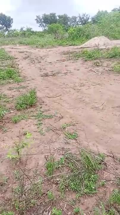 2 terrains de 400 m² à vendre à Bouaké (Kpangbambo)