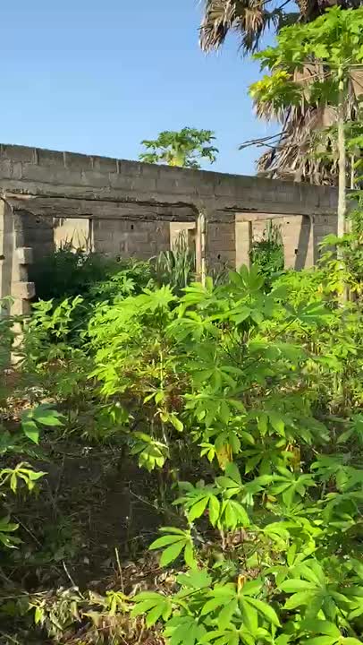 Terrain de 600 m² à vendre à N'Dakro (ACD disponible)