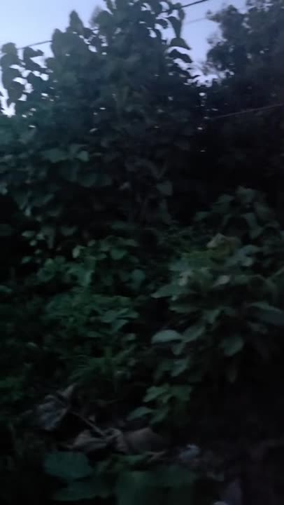 Terrain de 500 m² à vendre à Tchèlèkro (Nikif) — viabilisé