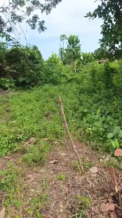 Terrain de 600 m² à vendre à Gogonou