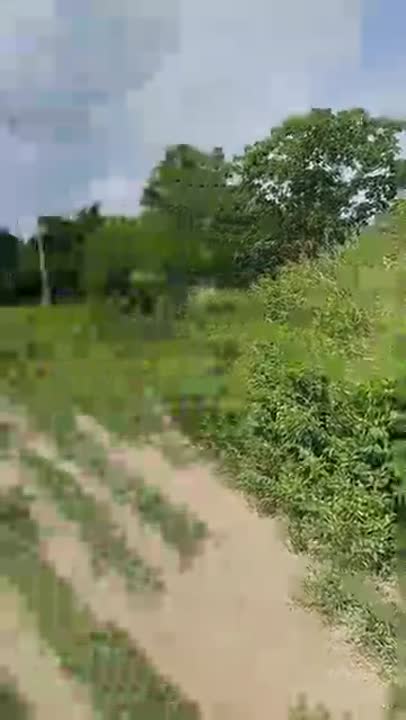 Terrain de 500 m² à vendre à Logbakro-Belle Fontaine (attestation villageoise)