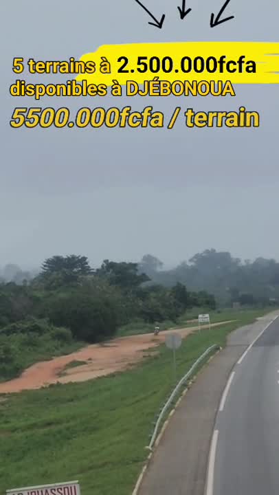 5 terrains XXL à vendre à N'Djébonoua