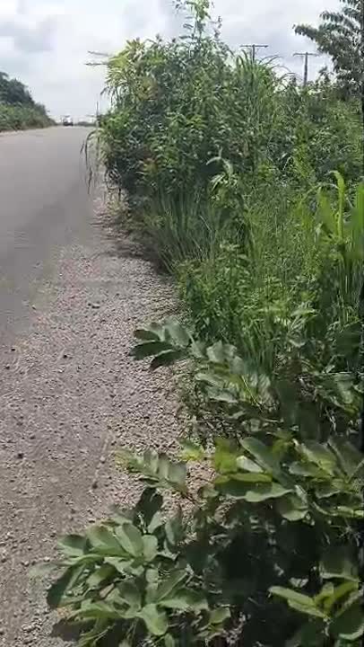 Terrain de 50 ha à vendre sur la route de Béoumi (CF disponible)
