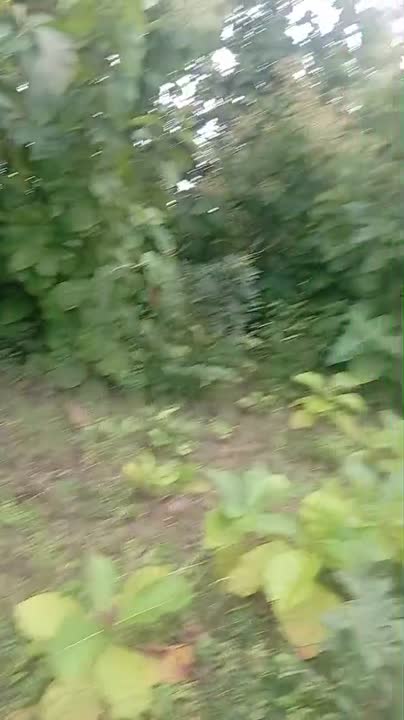 Terrain de 500 m² à vendre à Nimbo (guide au ministère)