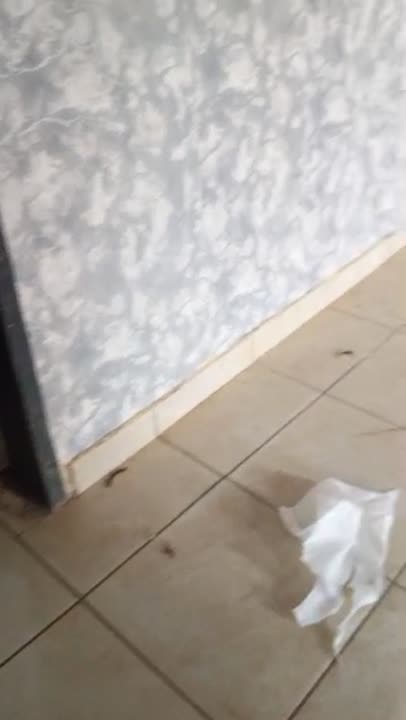 3 pièces à louer à Koumassi Soweto