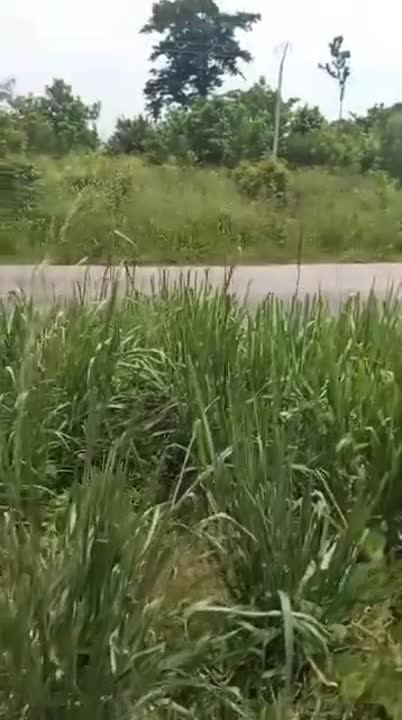 Terrain de 10 ha à vendre en zone industrielle (ACD disponible)