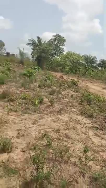 Terrain de 500 m² à vendre à Eman-Ville (documents disponibles)