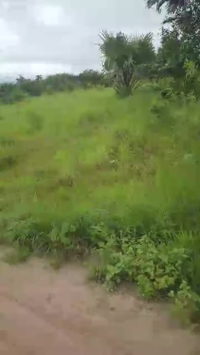 5 terrains de 600 m² à vendre à Kpoussoussou (ACD individuel)