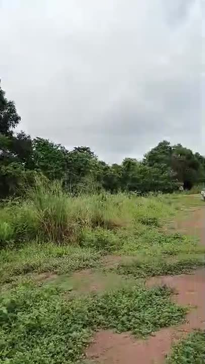 Terrain de 68 lots à vendre à Botro (extrait topo)