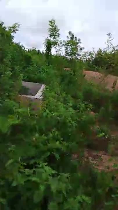 Terrain de 540 m² à vendre à Akpessékro (Yamoussoukro)