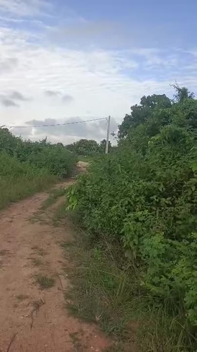 Terrain de 500 m² à vendre à Broukro Port-Bouet