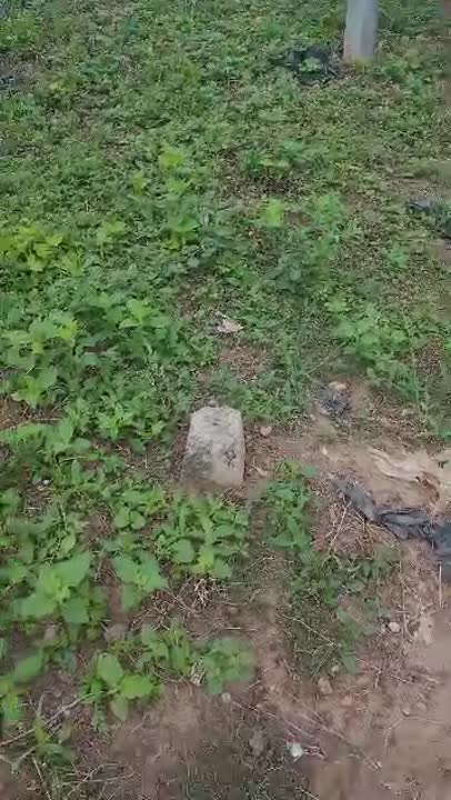 Terrain de 681 m² à vendre à Sahabo (Yamoussoukro)